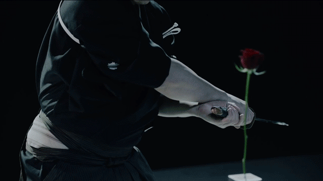 12.gif