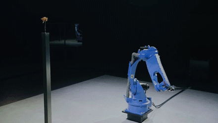13.gif