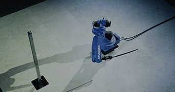 1.gif